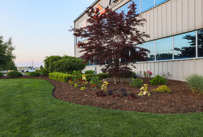 Refined image lawn and landscape, softscapes, snow & ice, lawn cutting & maintenance, residential & commercial lawn care, dunnville, ON