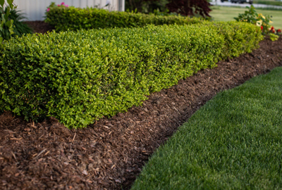 Refined image lawn and landscape, softscapes, snow & ice, lawn cutting & maintenance, residential & commercial lawn care, dunnville, ON