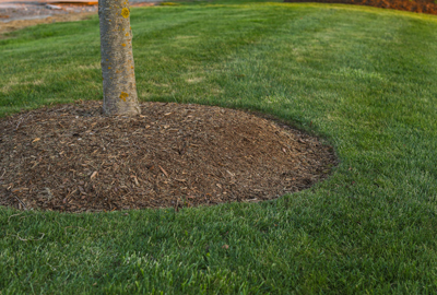 Refined image lawn and landscape, softscapes, snow & ice, lawn cutting & maintenance, residential & commercial lawn care, dunnville, ON